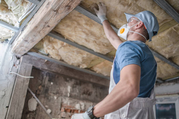 Best Insulation Maintenance and Repair in Honea Path, SC